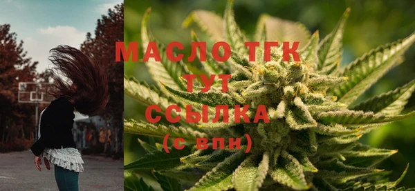 дживик Абаза