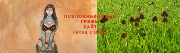дживик Абаза